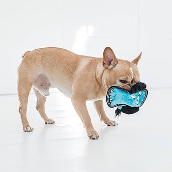 Puno4 Dog Toys Outward Hound Tough Seamz Tug Elephant Blue